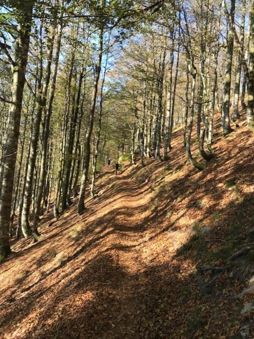 La Magie Entre Deux Lacs Gerardmer Ngoại thất bức ảnh