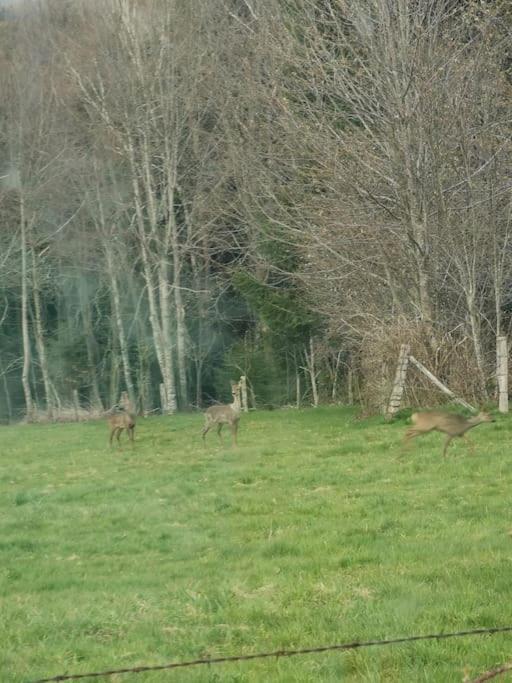 La Magie Entre Deux Lacs Gerardmer Ngoại thất bức ảnh
